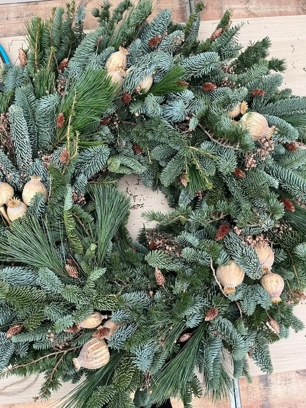 Gedroogde krans, pastel en zacht, met maankapjes, handgemaakt door De Groene Zeeuw